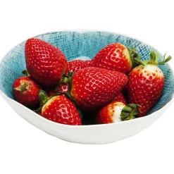 Bol Mustique Ø17cm><noscript><img width=
