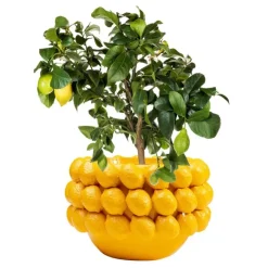 Cachepot décoratif Lemon Juice 22cm>KARE Design Best