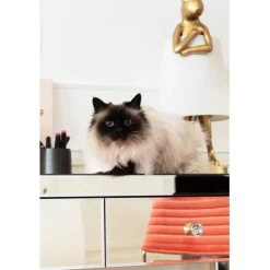 Console Luxury Pearl><noscript><img width=