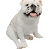 Figurine décorative Dog Troy>KARE Design Hot