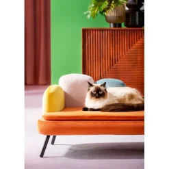 Lit pour chien/chat Diva orange><noscript><img width=