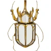Objet mural Beetle miroir 25x39cm>KARE Design Hot