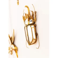 Objet mural Beetle miroir 25x39cm>KARE Design Hot