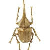 Objet mural Herkules Beetle doré>KARE Design Discount