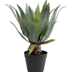 Plante décorative Agave 40cm><noscript><img width=