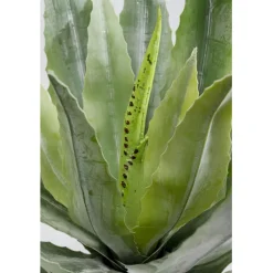 Plante décorative Agave 40cm>KARE Design