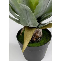 Plante décorative Agave 40cm><noscript><img width=