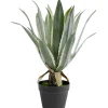 Plante décorative Agave 50cm>KARE Design Online