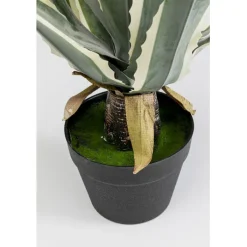Plante décorative Agave 50cm><noscript><img width=