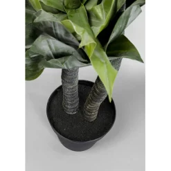 Plante décorative Agave 120cm><noscript><img width=
