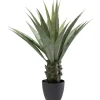 Plante décorative Agave 85cm>KARE Design Hot