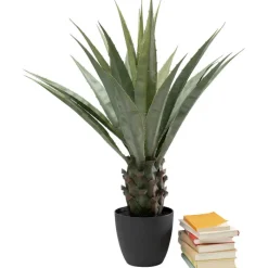 Plante décorative Agave 85cm>KARE Design Hot
