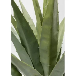 Plante décorative Agave 85cm><noscript><img width=