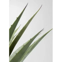 Plante décorative Agave 85cm><noscript><img width=