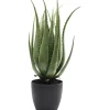 Plante décorative Aloe 69cm>KARE Design New