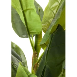 Plante décorative Banana Tree 180cm><noscript><img width=