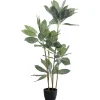 Plante décorative Calathea 140cm>KARE Design Best