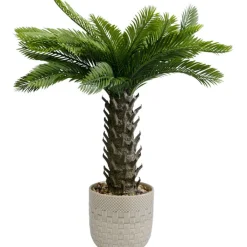 Plante décorative Cycas 70cm><noscript><img width=