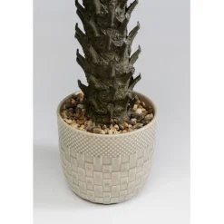 Plante décorative Cycas 70cm><noscript><img width=