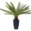 Plante décorative Cycas Tree 78cm>KARE Design Sale