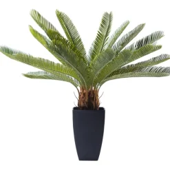 Plante décorative Cycas Tree 78cm><noscript><img width=