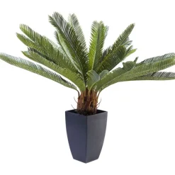 Plante décorative Cycas Tree 78cm><noscript><img width=