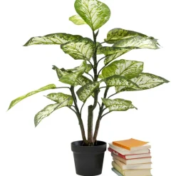 Plante décorative Dieffenbachie 100cm>KARE Design