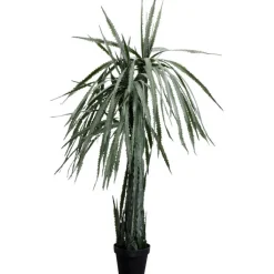 Plante décorative Dragon Tree 155cm><noscript><img width=