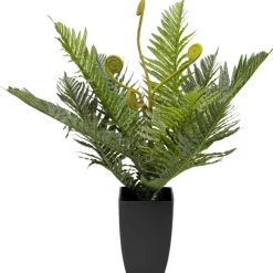 Plante décorative Farn 55cm>KARE Design Sale