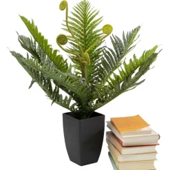 Plante décorative Farn 55cm><noscript><img width=
