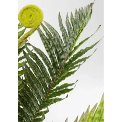 Plante décorative Farn 55cm><noscript><img width=