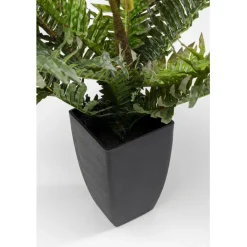 Plante décorative Farn 55cm><noscript><img width=