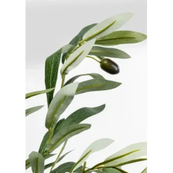 Plante décorative Olive Tree 150cm><noscript><img width=