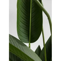 Plante décorative Paradise Flowers 190cm><noscript><img width=