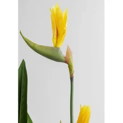 Plante décorative Paradise Flowers 190cm><noscript><img width=