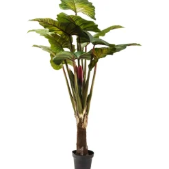 Plante décorative Rainbow Tree 160cm>KARE Design New
