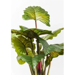 Plante décorative Rainbow Tree 160cm><noscript><img width=