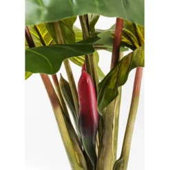 Plante décorative Rainbow Tree 160cm><noscript><img width=