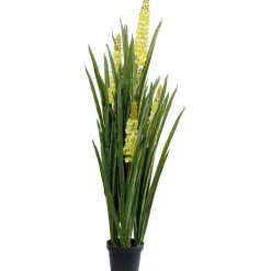Plante décorative Rhynchostylis 150cm>KARE Design Outlet