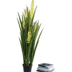 Plante décorative Rhynchostylis 150cm>KARE Design Outlet