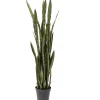 Plante décorative Sansewieria 155cm>KARE Design Best