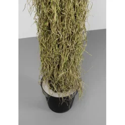 Plante décorative Yucca Rostrata 180cm><noscript><img width=