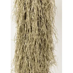 Plante décorative Yucca Rostrata 240cm><noscript><img width=