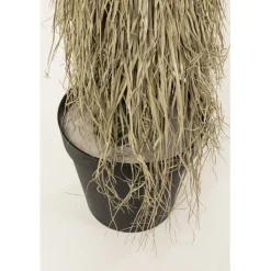 Plante décorative Yucca Rostrata 240cm><noscript><img width=