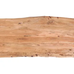 Table Harmony acier brut 200x100cm><noscript><img width=