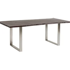 Table Harmony foncé chromé 200x100cm><noscript><img width=