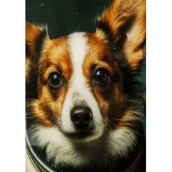 Tableau en verre Astronauts Dogs 80x60cm><noscript><img width=