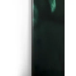 Tableau en verre Mister Lion 150x100cm><noscript><img width=